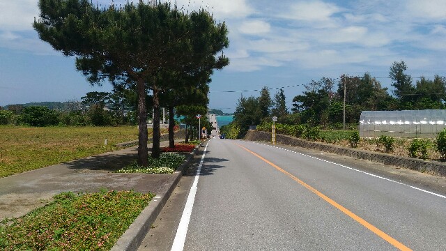 f:id:kodokunoguruman:20160416124112j:image f:id:kodokunoguruman:20160416124112j:image