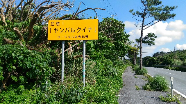 f:id:kodokunoguruman:20160416124719j:image f:id:kodokunoguruman:20160416124719j:image