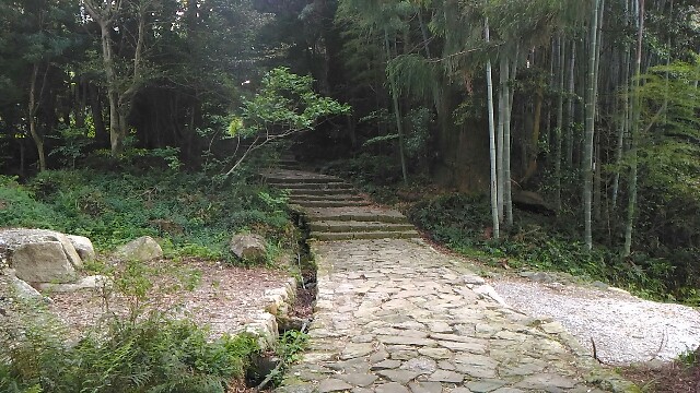f:id:kodokunoguruman:20160517233908j:image f:id:kodokunoguruman:20160517233908j:image