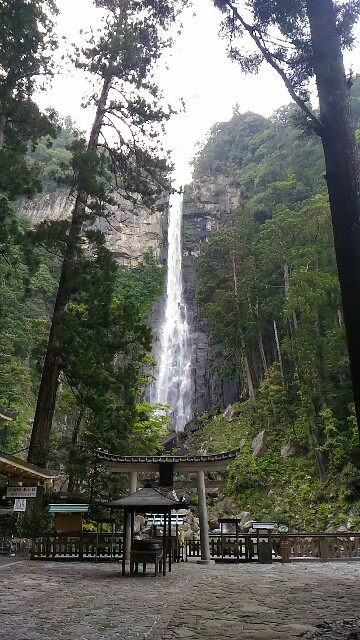f:id:kodokunoguruman:20160517233943j:image f:id:kodokunoguruman:20160517233943j:image