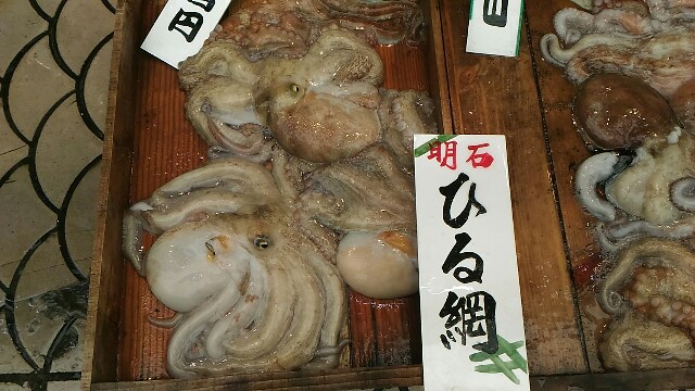 f:id:kodokunoguruman:20160519182725j:image f:id:kodokunoguruman:20160519182725j:image