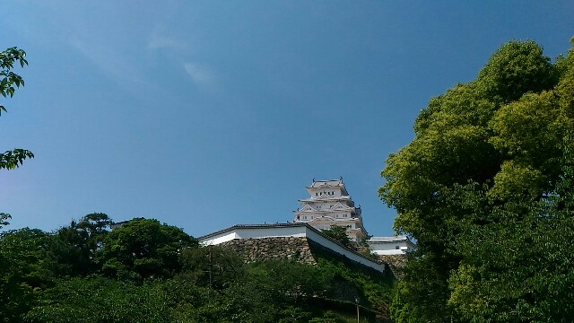 f:id:kodokunoguruman:20160519194734j:image f:id:kodokunoguruman:20160519194734j:image