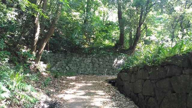 f:id:kodokunoguruman:20160531181105j:image f:id:kodokunoguruman:20160531181105j:image