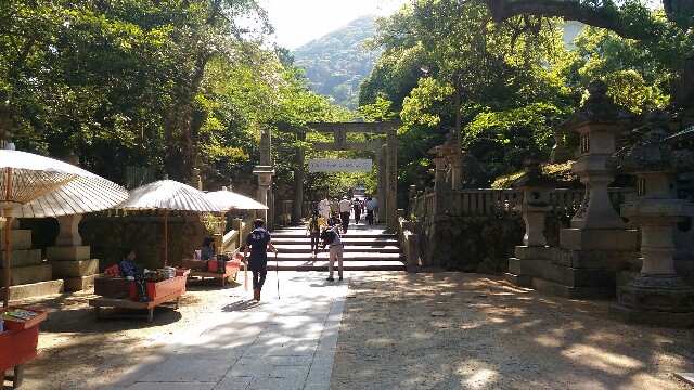f:id:kodokunoguruman:20160531182651j:image f:id:kodokunoguruman:20160531182651j:image