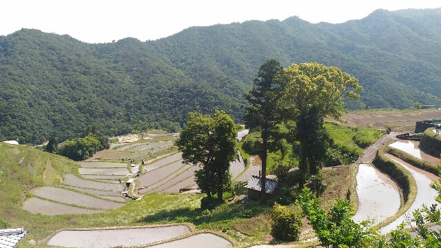 f:id:kodokunoguruman:20160531195254j:image f:id:kodokunoguruman:20160531195254j:image
