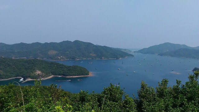 f:id:kodokunoguruman:20160602215207j:image f:id:kodokunoguruman:20160602215207j:image
