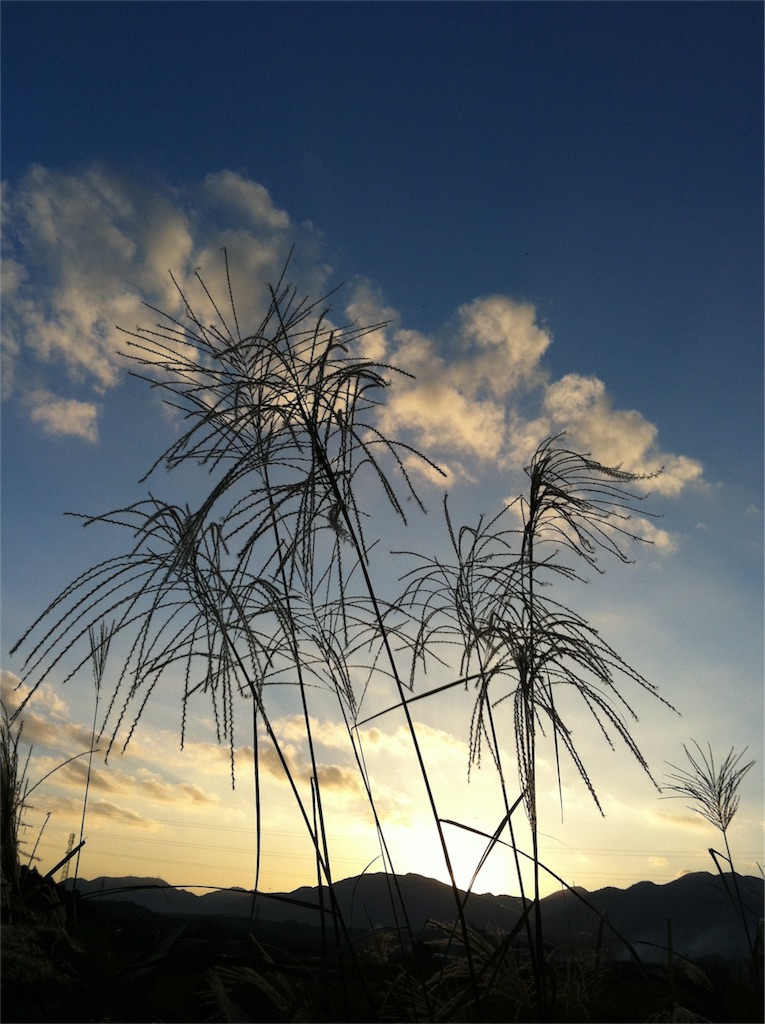f:id:kodomotatinoegao:20151102091023j:image f:id:kodomotatinoegao:20151102091023j:image