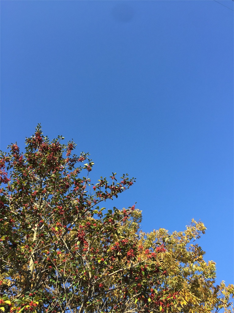 f:id:kodomotatinoegao:20151118171958j:image f:id:kodomotatinoegao:20151118171958j:image