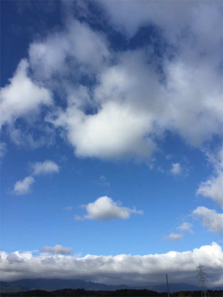 f:id:kodomotatinoegao:20151130225602j:image f:id:kodomotatinoegao:20151130225602j:image