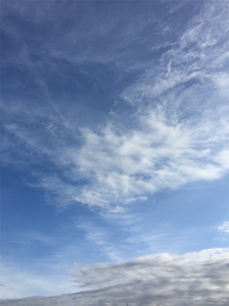 f:id:kodomotatinoegao:20151201203936j:image f:id:kodomotatinoegao:20151201203936j:image
