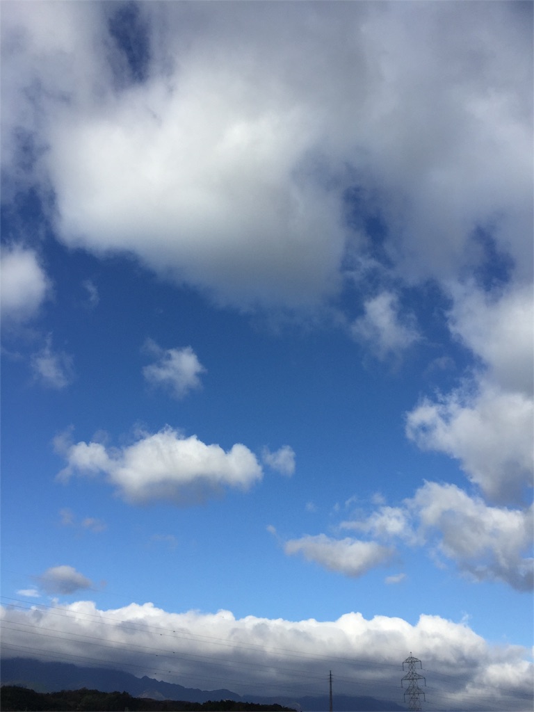 f:id:kodomotatinoegao:20151224214036j:image f:id:kodomotatinoegao:20151224214036j:image