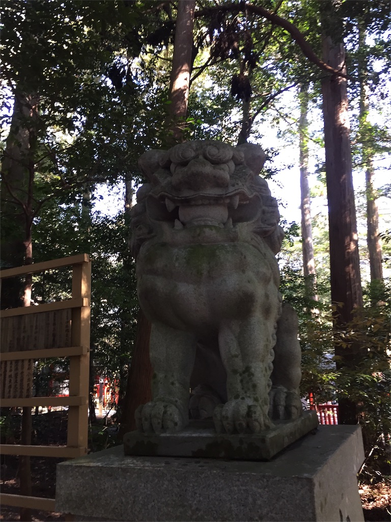 f:id:kodomotatinoegao:20160211124011j:image f:id:kodomotatinoegao:20160211124011j:image