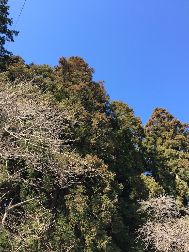 f:id:kodomotatinoegao:20160220211641j:image f:id:kodomotatinoegao:20160220211641j:image