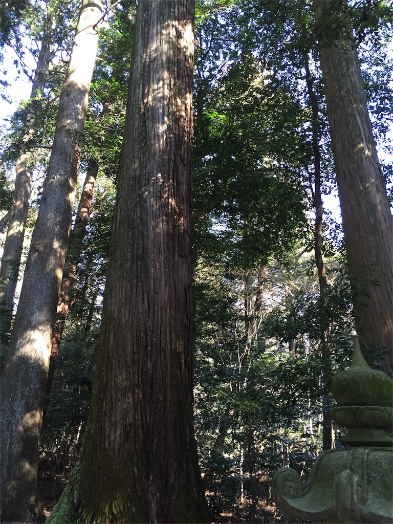 f:id:kodomotatinoegao:20160220211728j:image f:id:kodomotatinoegao:20160220211728j:image