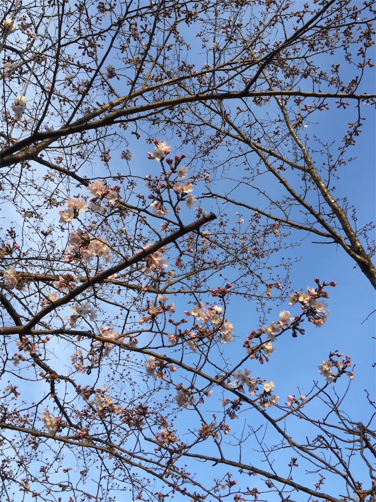f:id:kodomotatinoegao:20160408093943j:image f:id:kodomotatinoegao:20160408093943j:image