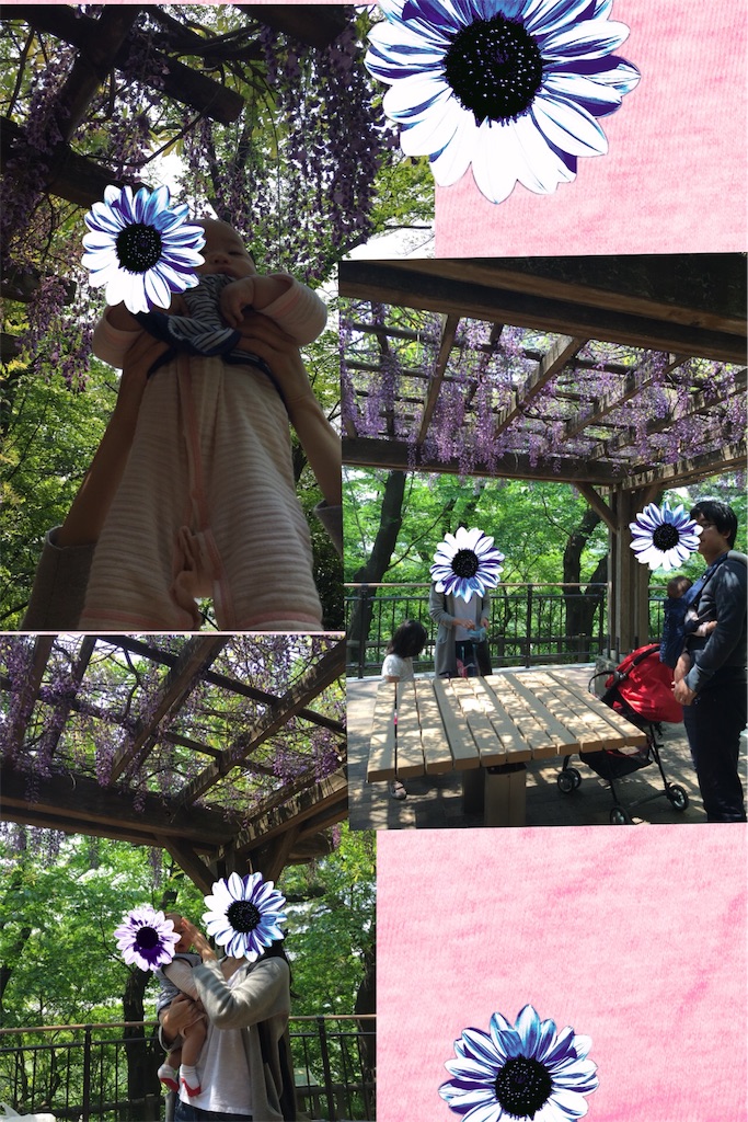 f:id:koebi_z:20160502143559j:image f:id:koebi_z:20160502143559j:image