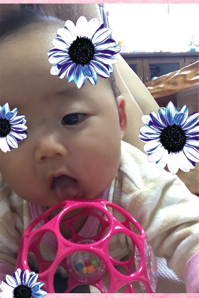 f:id:koebi_z:20160504085400j:image f:id:koebi_z:20160504085400j:image
