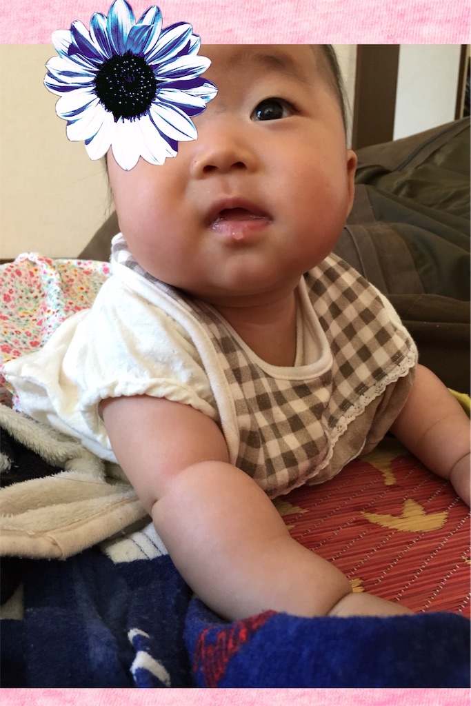 f:id:koebi_z:20160512163957j:image f:id:koebi_z:20160512163957j:image