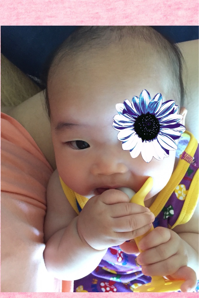 f:id:koebi_z:20160517204325j:image f:id:koebi_z:20160517204325j:image