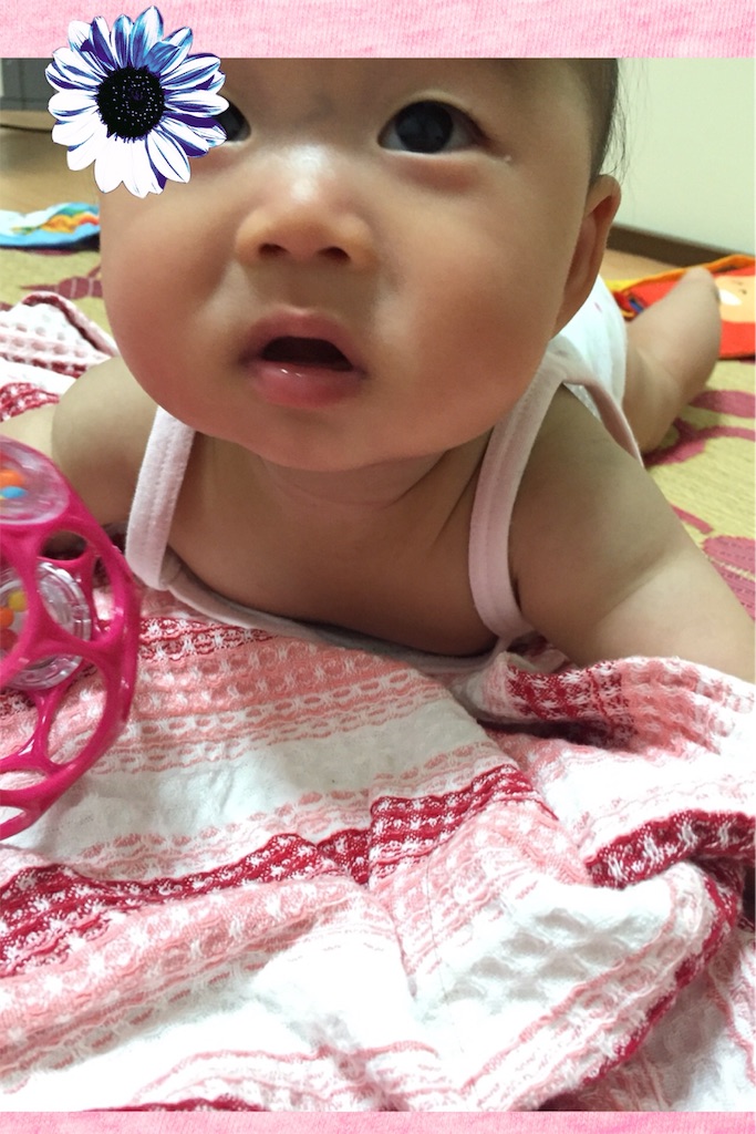 f:id:koebi_z:20160525191713j:image f:id:koebi_z:20160525191713j:image