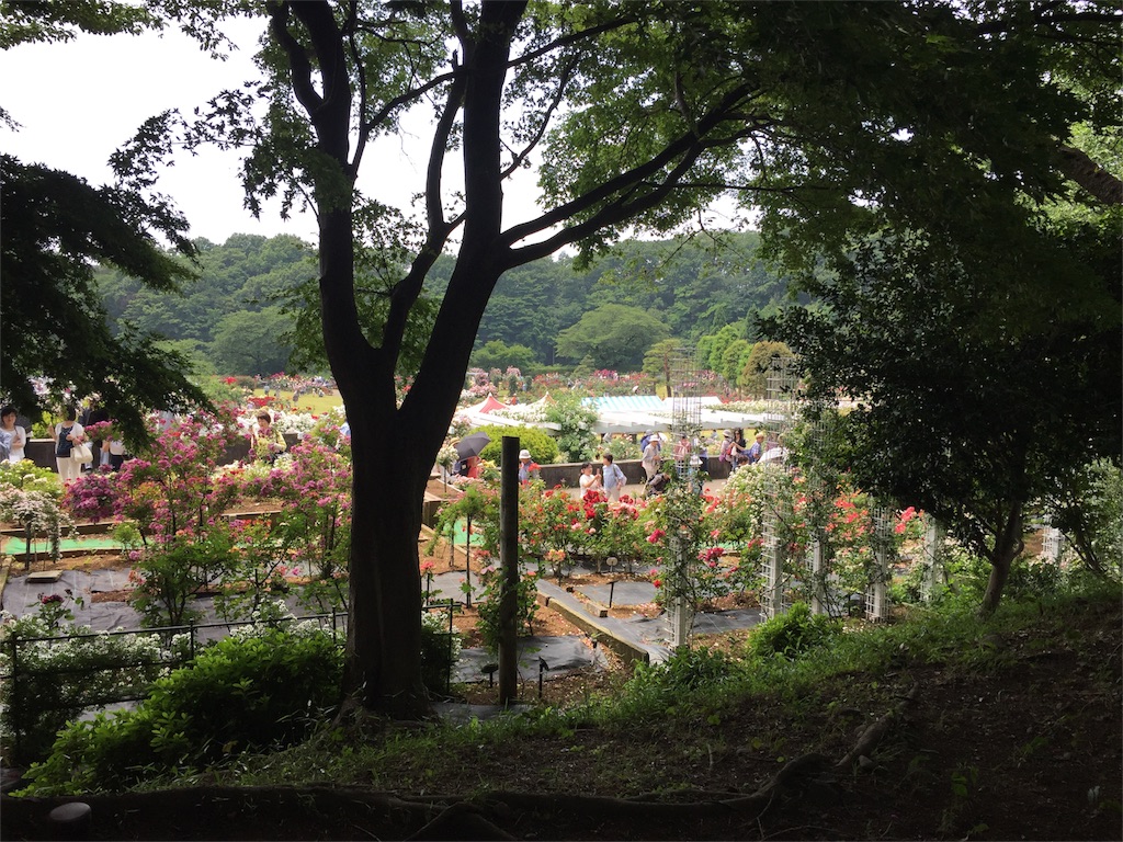 f:id:koebi_z:20160526120056j:image f:id:koebi_z:20160526120056j:image