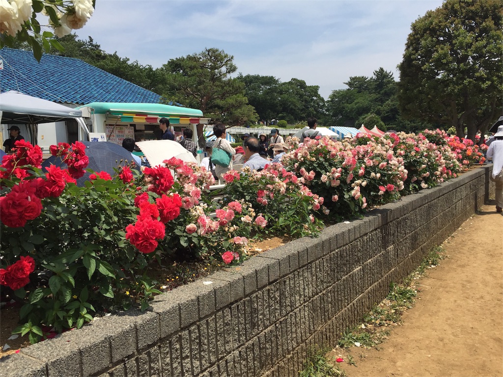 f:id:koebi_z:20160526121918j:image f:id:koebi_z:20160526121918j:image