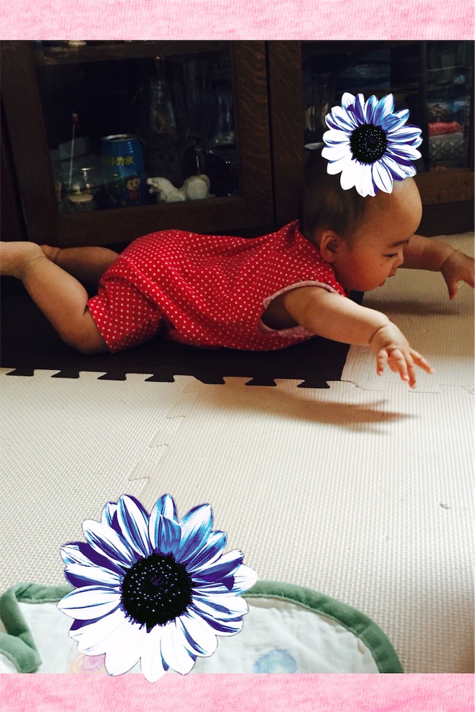 f:id:koebi_z:20160530170913j:image f:id:koebi_z:20160530170913j:image