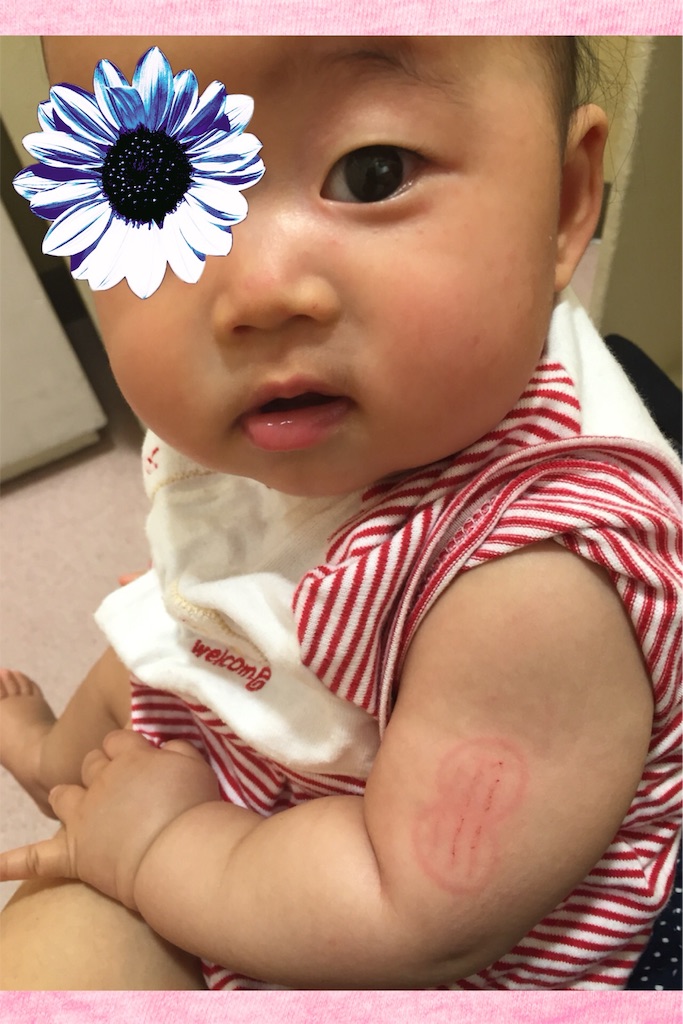 f:id:koebi_z:20160531201256j:image f:id:koebi_z:20160531201256j:image
