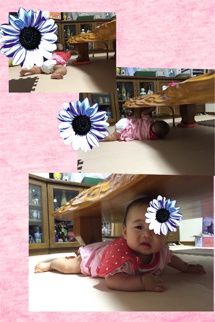 f:id:koebi_z:20160602203902j:image f:id:koebi_z:20160602203902j:image