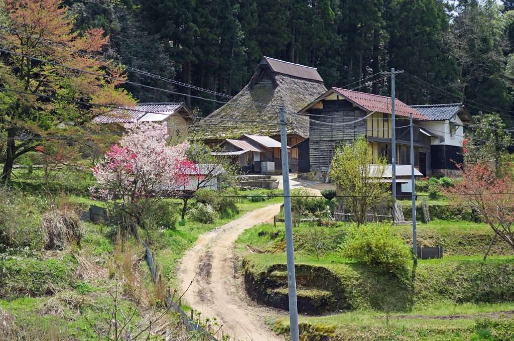 f:id:kogikogi-life:20160416201813j:image f:id:kogikogi-life:20160416201813j:image