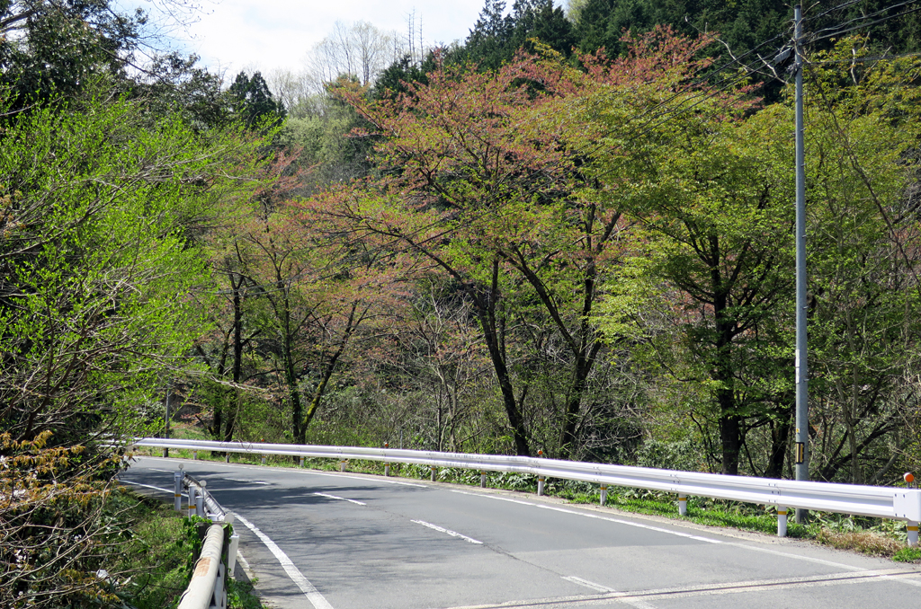 f:id:kogikogi-life:20160416201814j:image f:id:kogikogi-life:20160416201814j:image