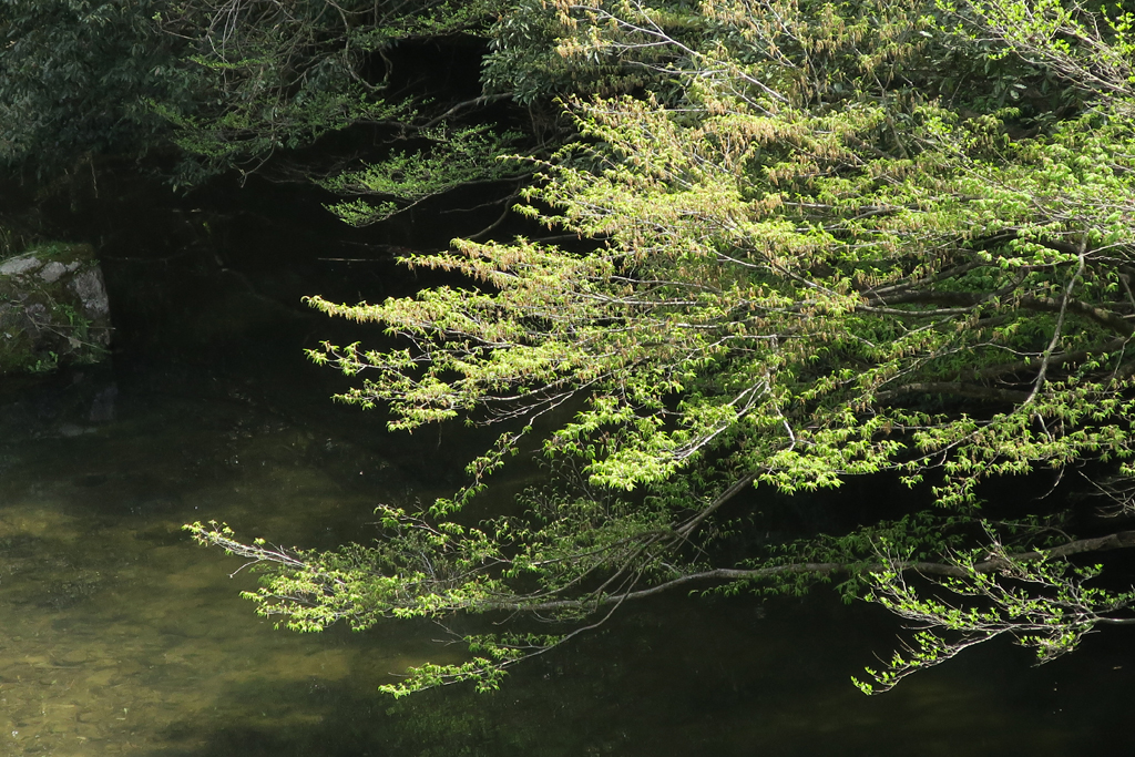f:id:kogikogi-life:20160416201815j:image f:id:kogikogi-life:20160416201815j:image