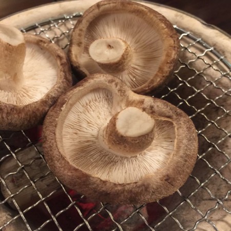 f:id:kogo:20150228184554j:plain