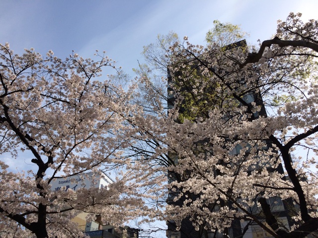 f:id:koguma2113:20140405171041j:plain f:id:koguma2113:20140405171041j:plain