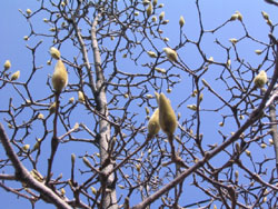 f:id:koharu000:20120129174407j:image f:id:koharu000:20120129174407j:image