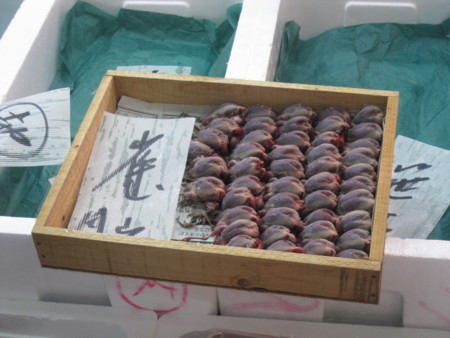 f:id:koichi_k:20121231070942j:image f:id:koichi_k:20121231070942j:image