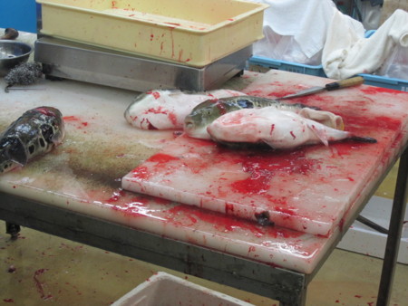 f:id:koichi_k:20121231073813j:image f:id:koichi_k:20121231073813j:image