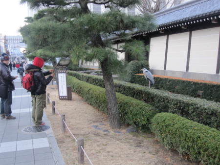 f:id:koichi_k:20130126164302j:image