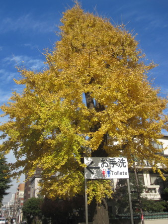 f:id:koichi_k:20131211130223j:plain