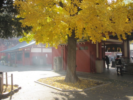 f:id:koichi_k:20131211130345j:plain