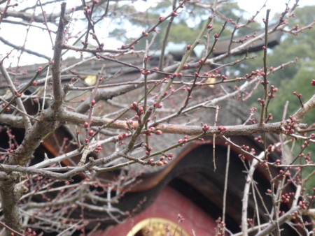 f:id:koichi_k:20140112151008j:plain