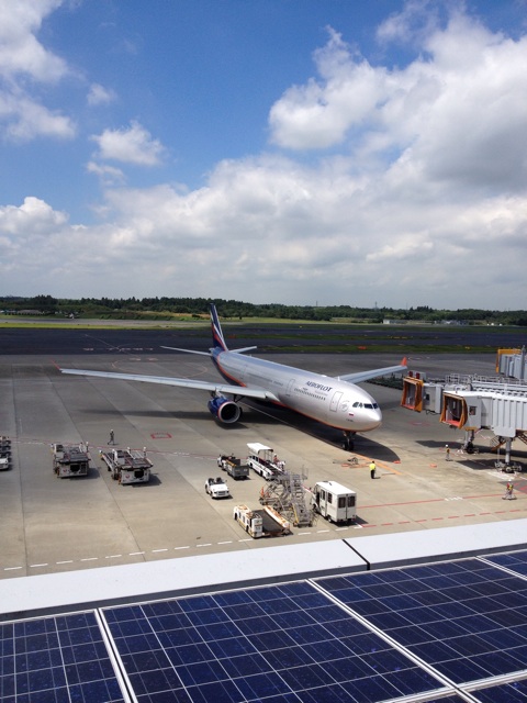 f:id:kojika321:20140819205810j:plain f:id:kojika321:20140819205810j:plain