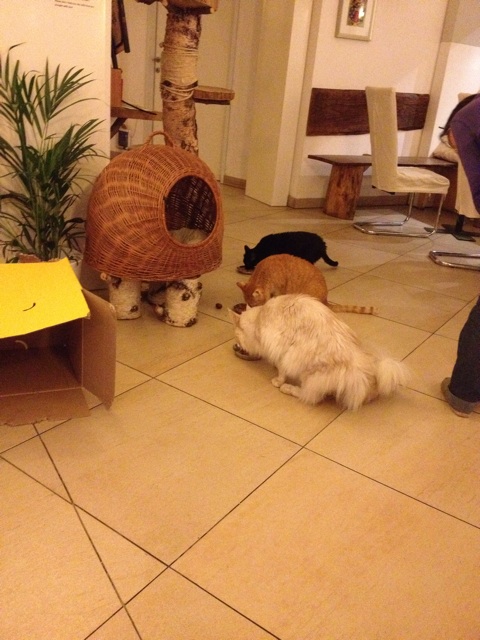f:id:kojika321:20141021232612j:plain f:id:kojika321:20141021232612j:plain
