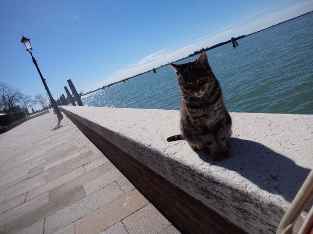 f:id:kojika321:20150406212508j:plain f:id:kojika321:20150406212508j:plain