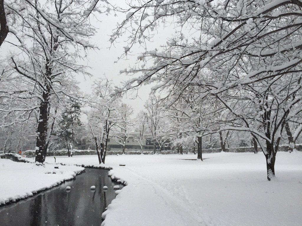 f:id:kojyk:20151216080227j:image f:id:kojyk:20151216080227j:image