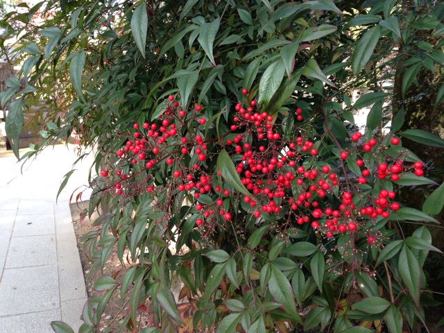 f:id:kokisin:20131225002349j:plain f:id:kokisin:20131225002349j:plain