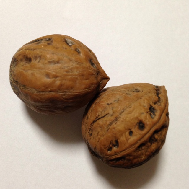f:id:kokisin:20131227020354j:plain f:id:kokisin:20131227020354j:plain