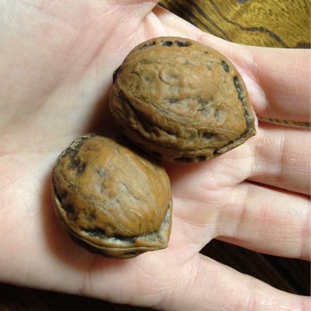 f:id:kokisin:20131227021556j:plain f:id:kokisin:20131227021556j:plain