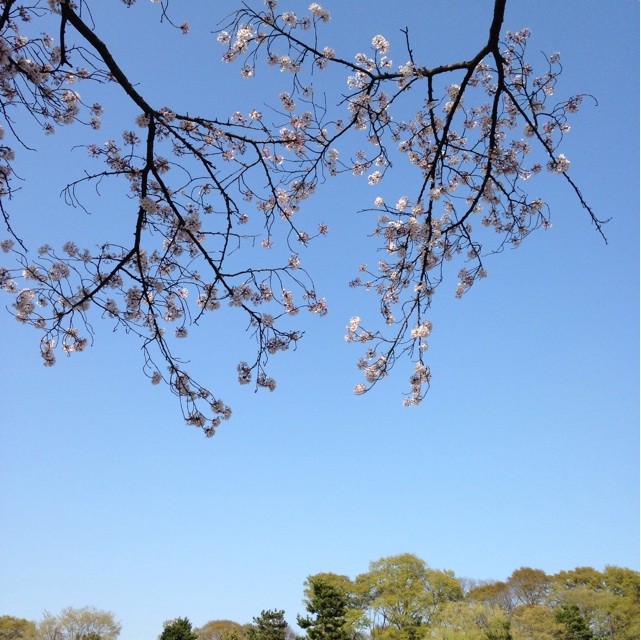 f:id:kokisin:20140413235154j:plain f:id:kokisin:20140413235154j:plain