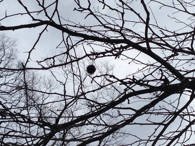 f:id:kokisin:20150124001216j:plain f:id:kokisin:20150124001216j:plain